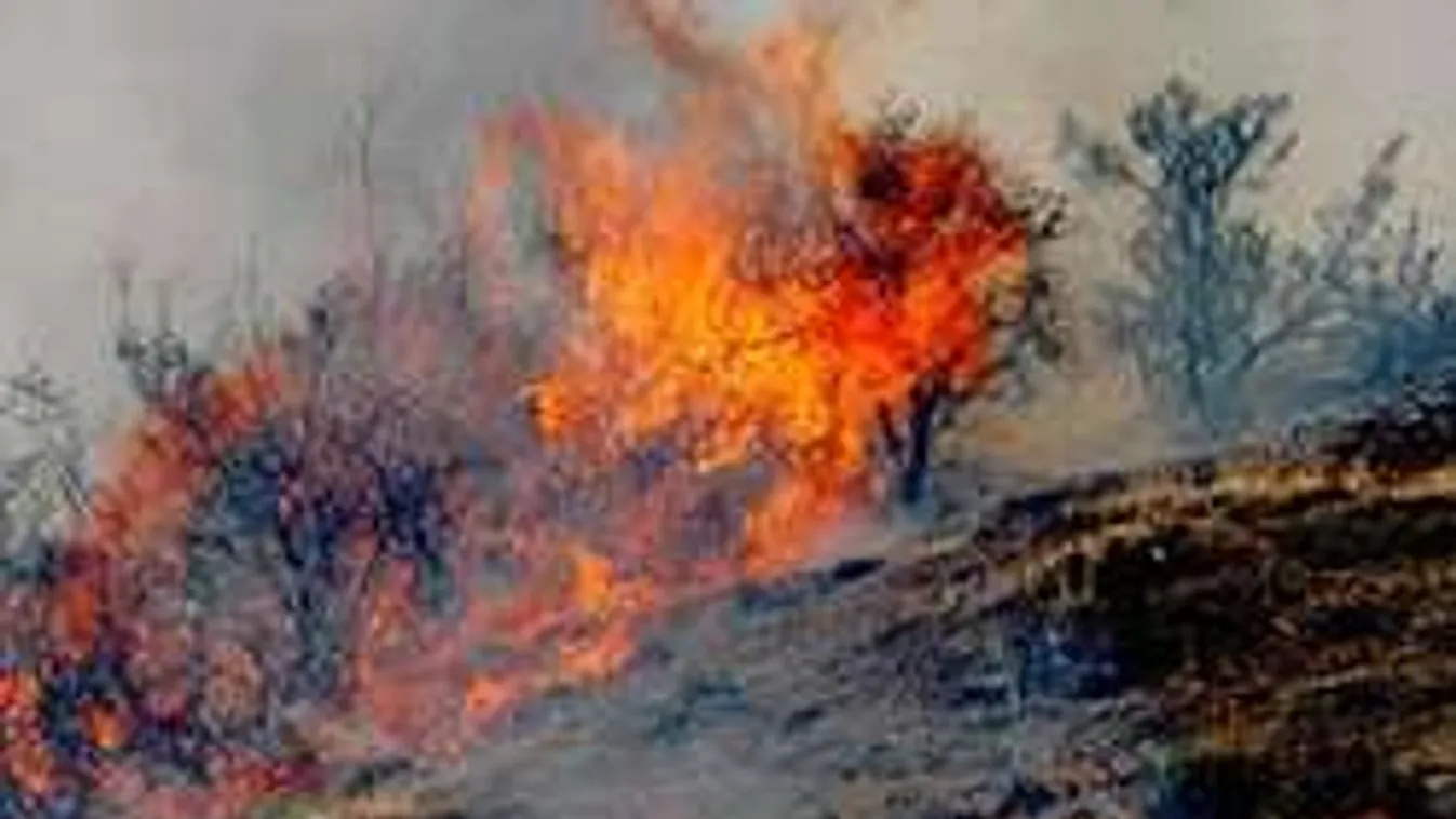 Menekülnek az állatok, lőszerek robbanhatnak az égő Kiskunságban