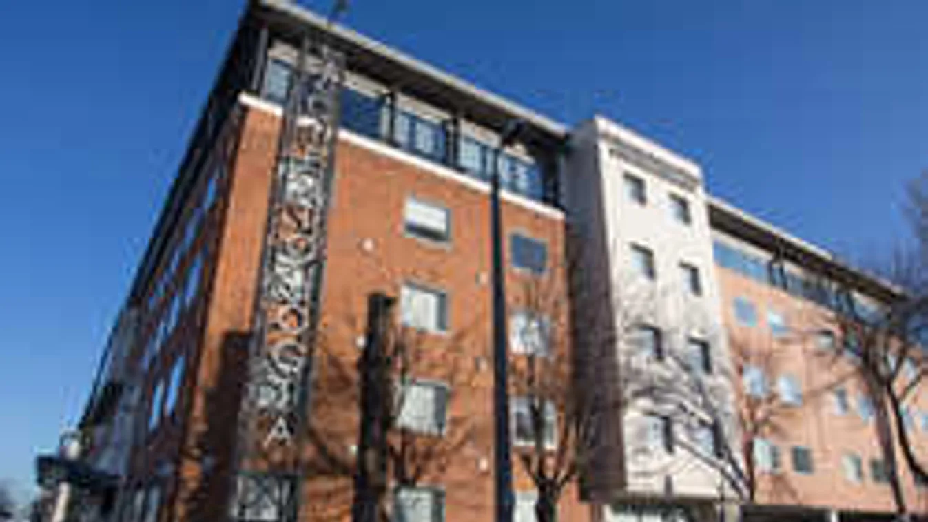 Így vallatják a magyar kisgyerekeket a szcientológusok