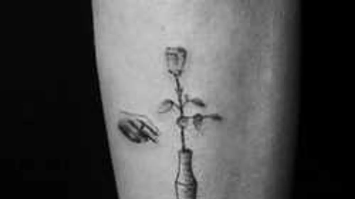 Magyar művész alkotásán ámul a világ