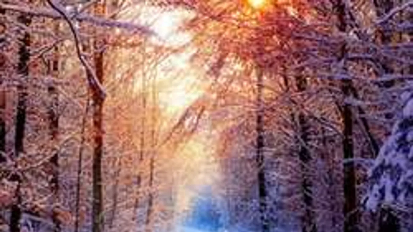 Friss! Megérkezett az első hó! - Videó