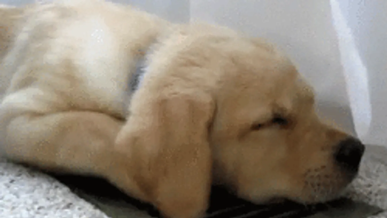 Megint jön a forróság a hétvégére!