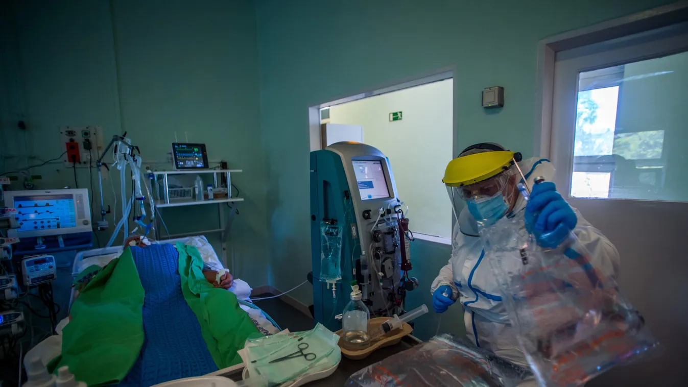 Fotó: Balogh Zoltán / MTI