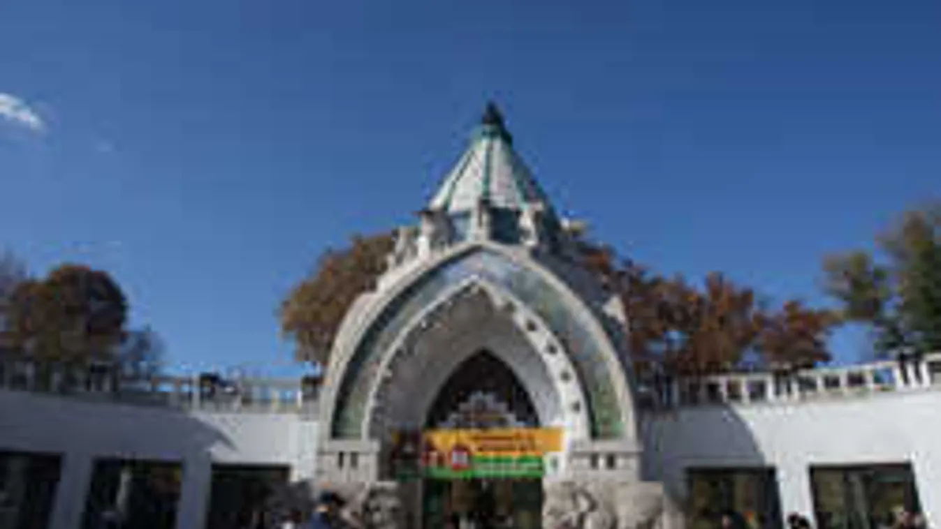 Hihetetlen sikert ért el a Fővárosi Állatkert