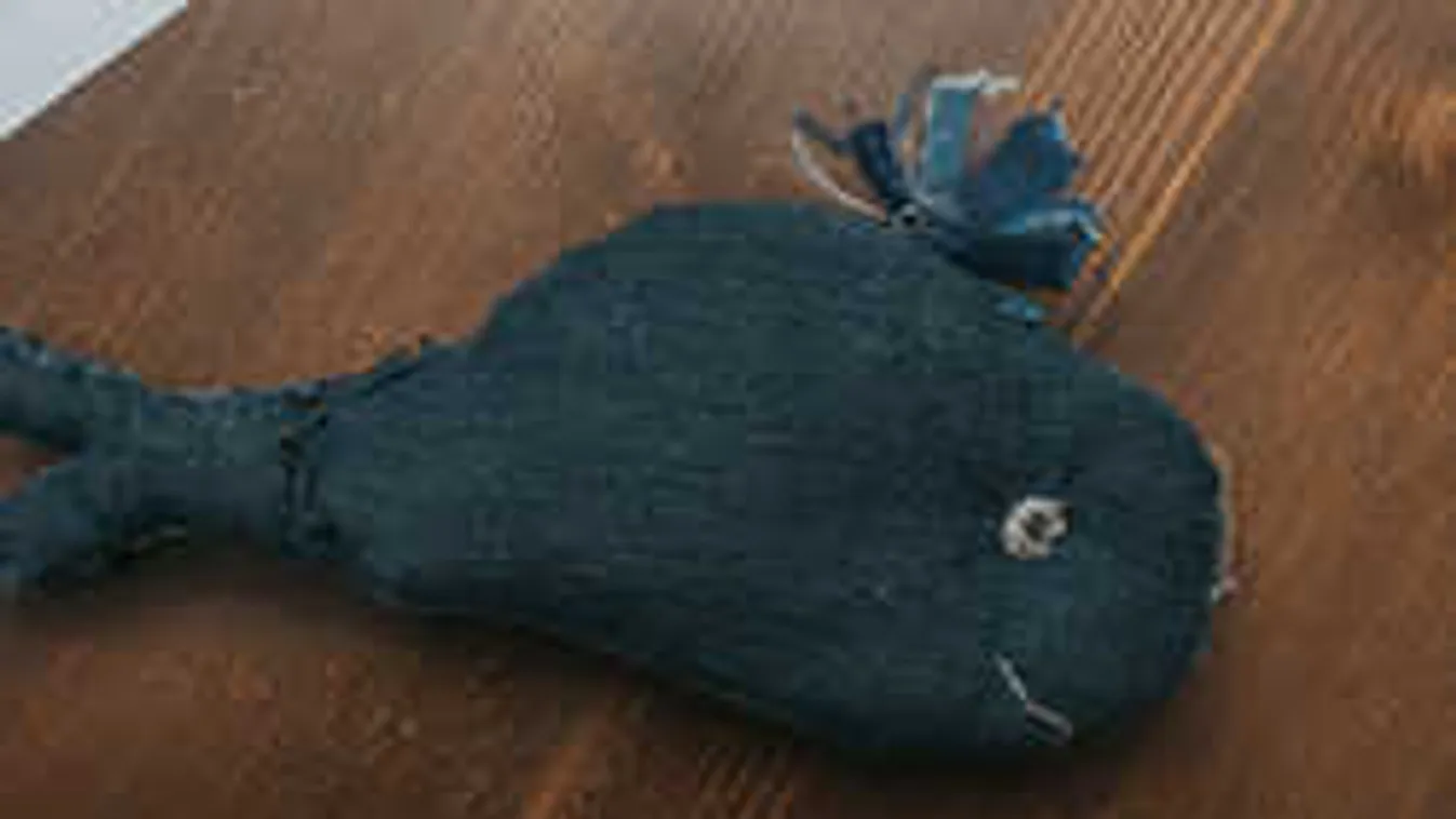 Szörnyű részletek derültek ki a debreceni lány öngyilkosságáról