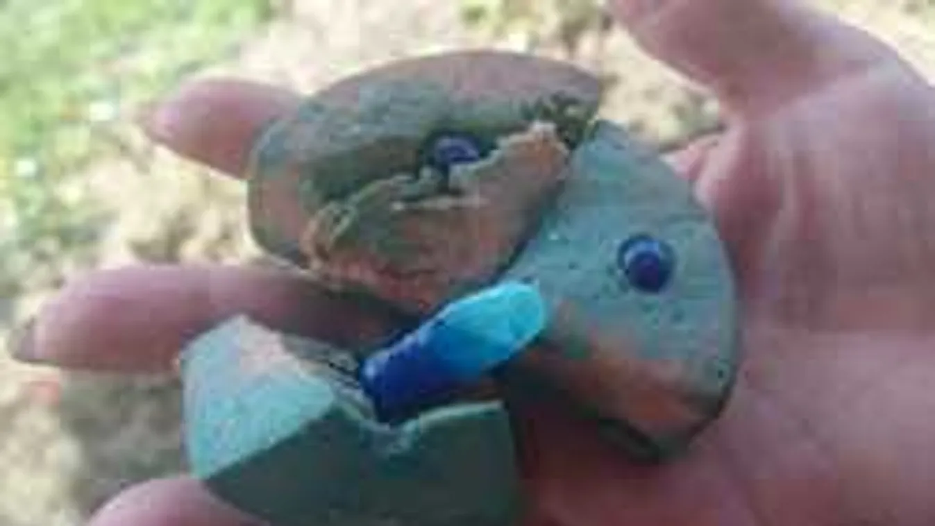 Vigyázz, új módszerrel ölik az állatokat a magyar kutyagyilkosok