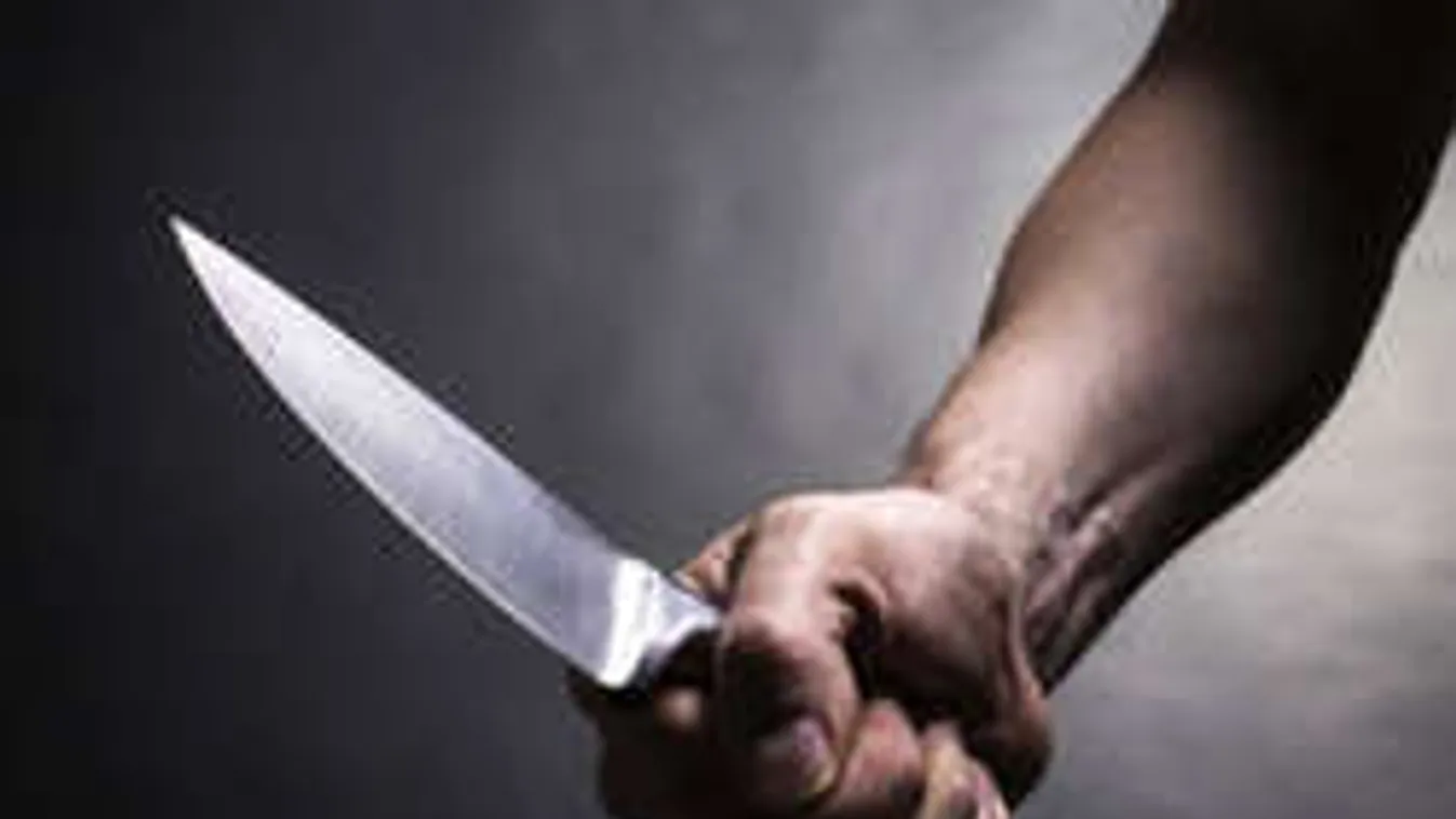 Újra ölni akart a gyilkosságért már elítélt zalai férfi