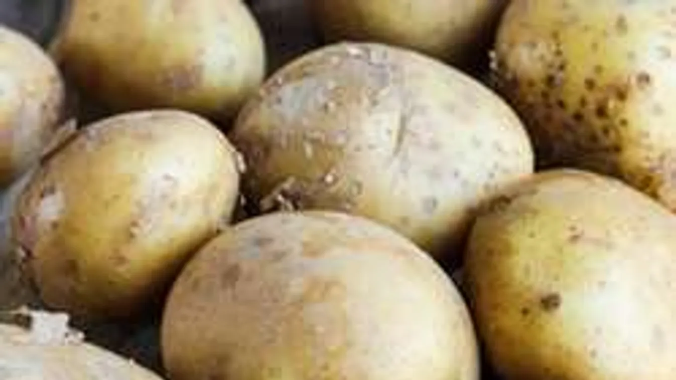 Eltitkolt tudomány: ezért rakj almát a krumplik közé