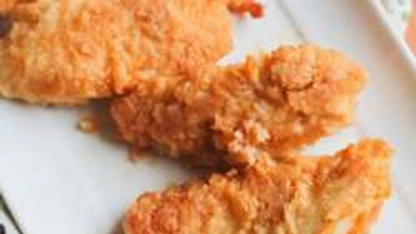 Bombasztikus nyári újítás: itt a joghurtos panír!