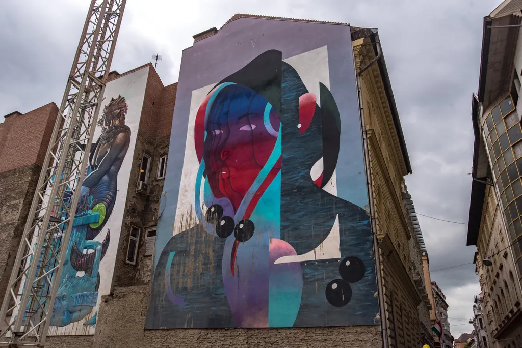 A belvárosi Nagydiófa utcában rengetegen mennek át a Bulinegyed miatt, így nem csak a környékbeliek gyönyörködhetnek a bámulatos festményben.