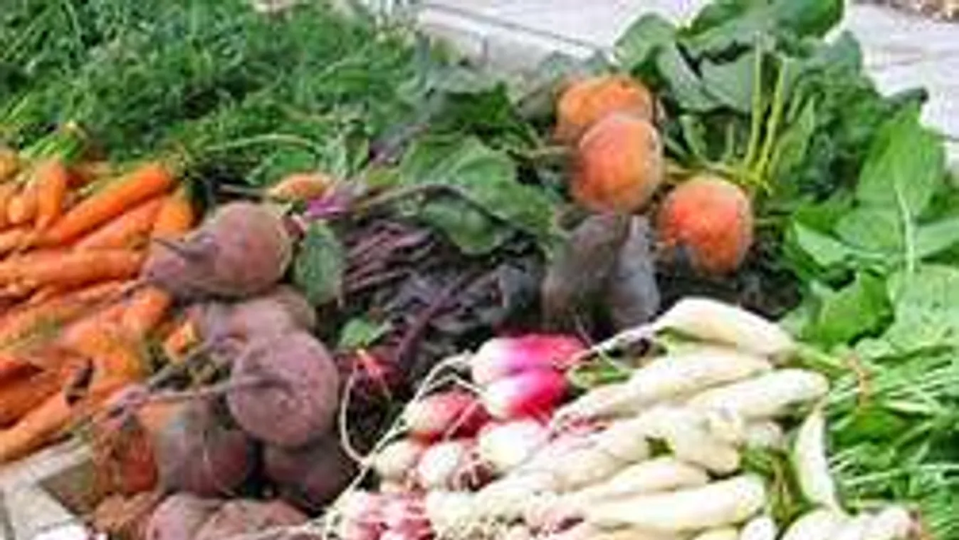 Mikor mit ültess? Íme a kertészkedésnaptár, ami segít