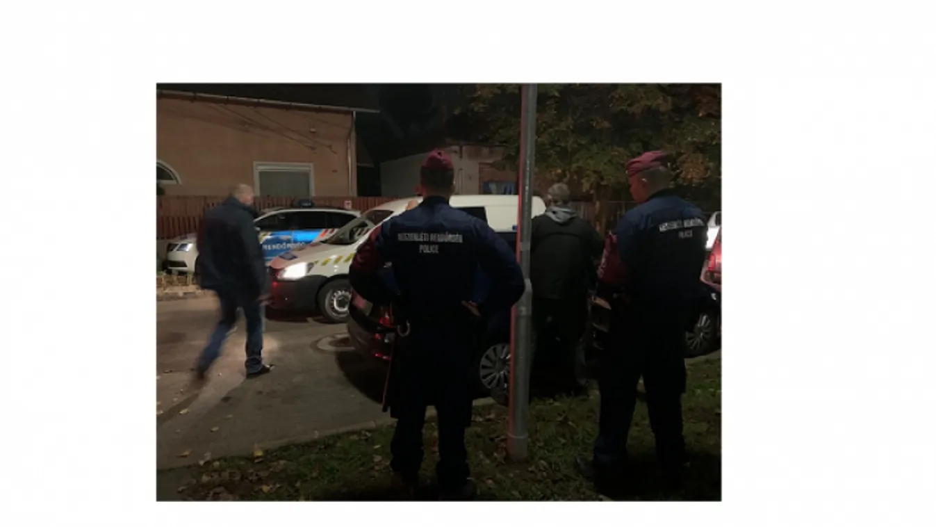 Budapesti kettős gyilkosság: így ölhette meg anyját és nevelőapját P. Sándor