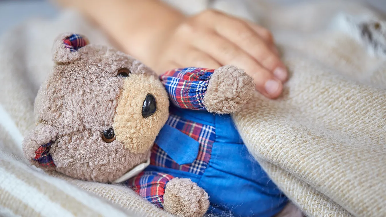 Close-up,Of,A,Toy,,Teddy,Bear,In,Children's,Hands.,Soft,