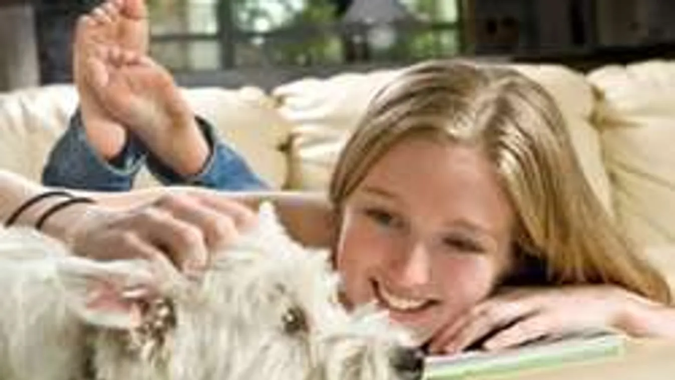 Íme, az 5 legnagyobb gazdibaki! Sose szeretkezz a kutyád előtt!