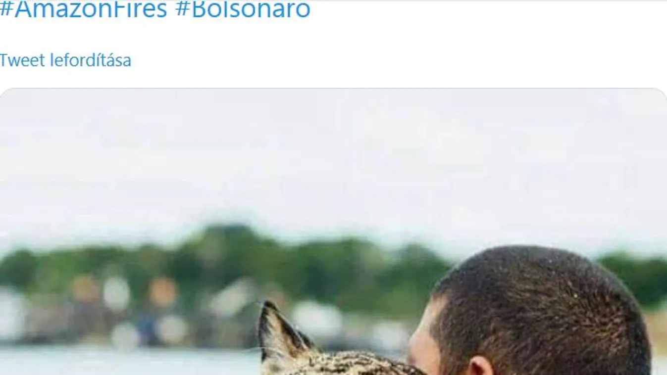 Beindultak a kamu hírgyárak az amazonasi erdőtűzről