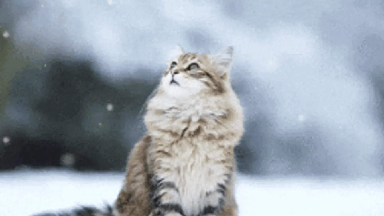 Többféle riasztást kapott az ország: hidegfronttal keményít be a tél