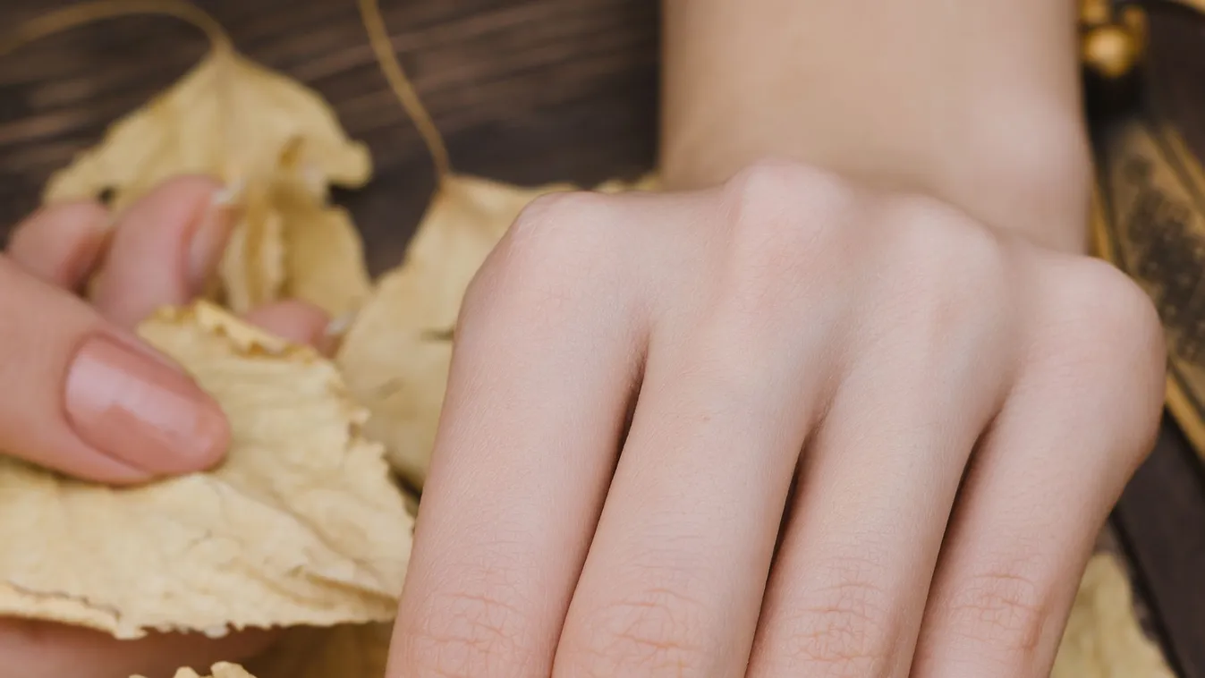 Female hands with gold chameleon nail design.