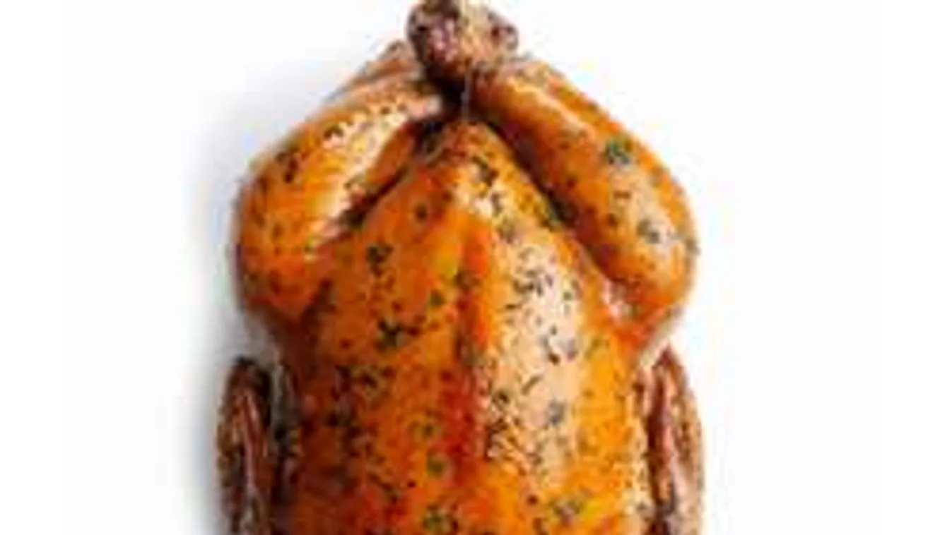 Tuti, hogy eddig rosszul olvasztottad ki a csirkét!