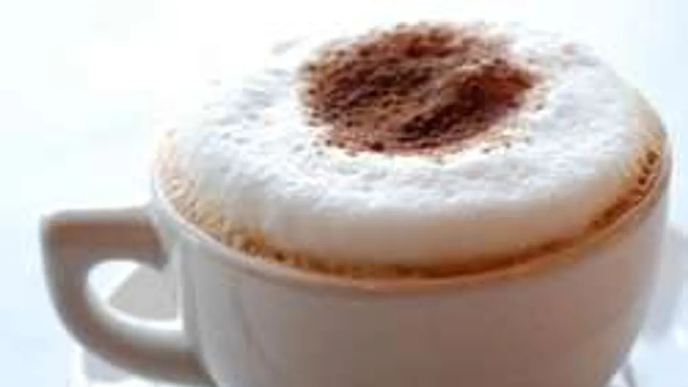 Szereted a capuccino isteni tejhabját? Mikróban is elkészítheted!