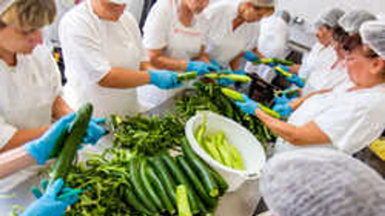 Ezért lesz jobb a menza Miskolcon