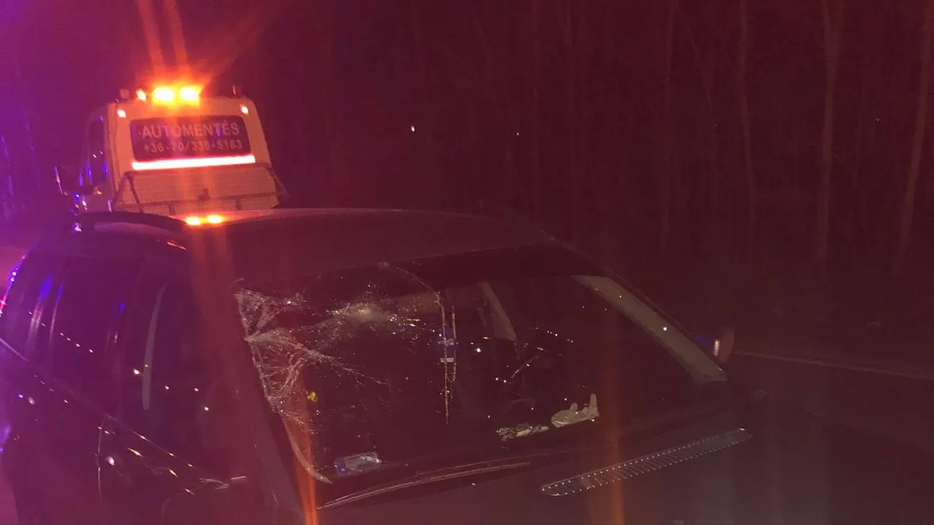 Nyilvánosan kért elnézést anyósáék gázolójától a dunaújvárosi férfi