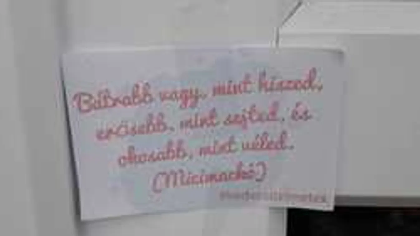 Meglepő cetlik borították be fél Magyarországot