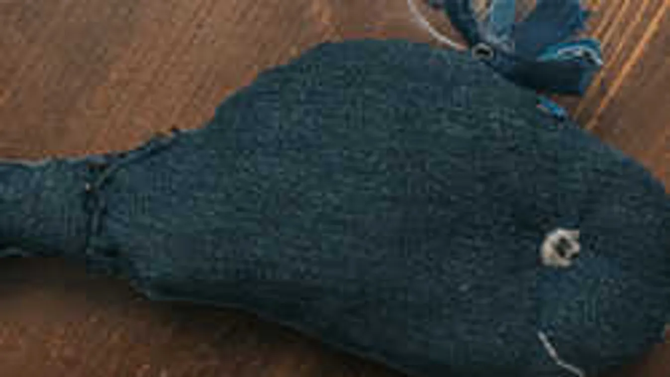 Erre figyeljenek a szülők: megszereztük a Kék Bálna öngyilkos feladatait