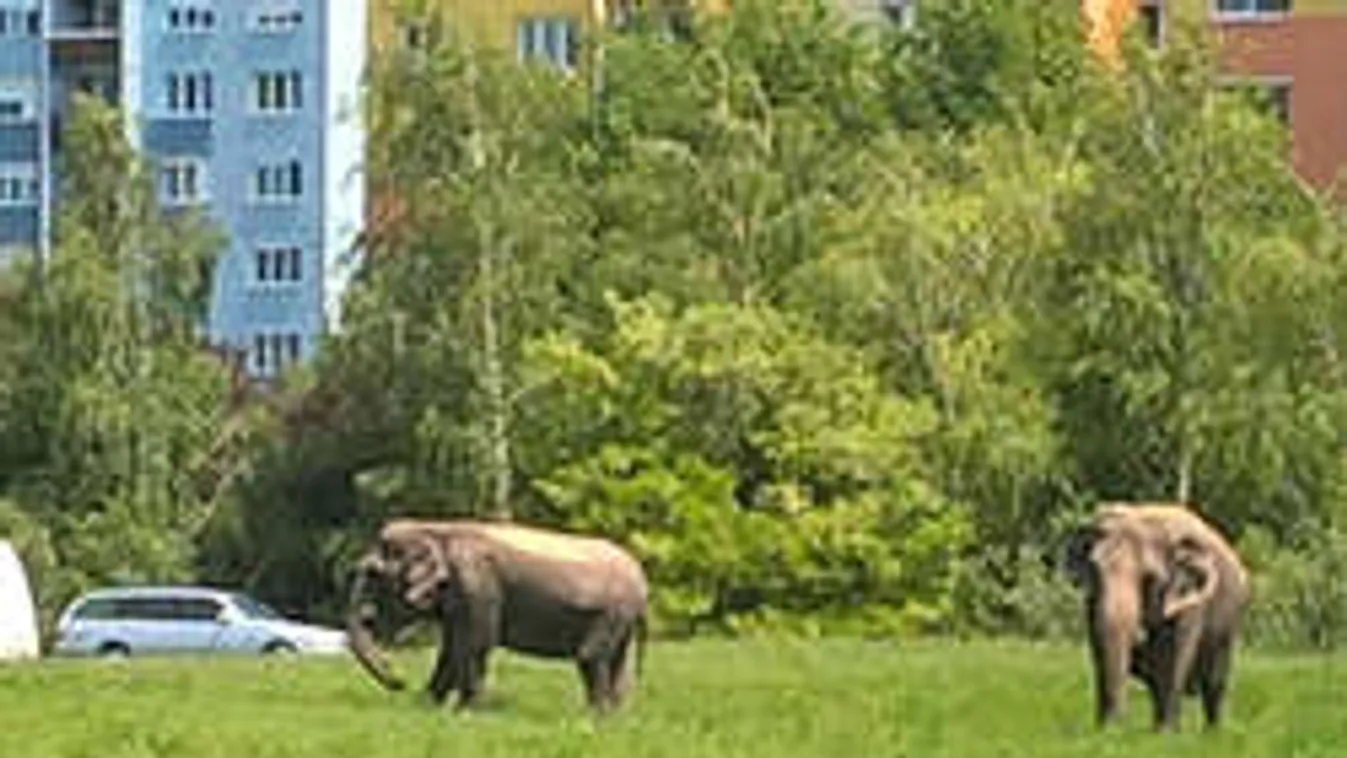 Teljes döbbenet a budaörsi lakótelepen