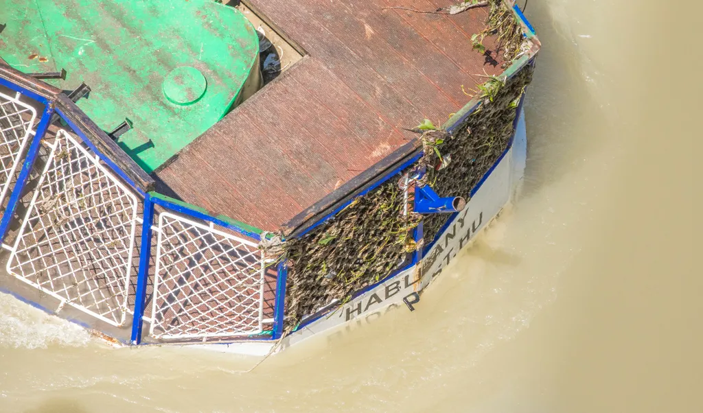 Végül június 11-én sikerült kiemelni a Dunából a Hableányt