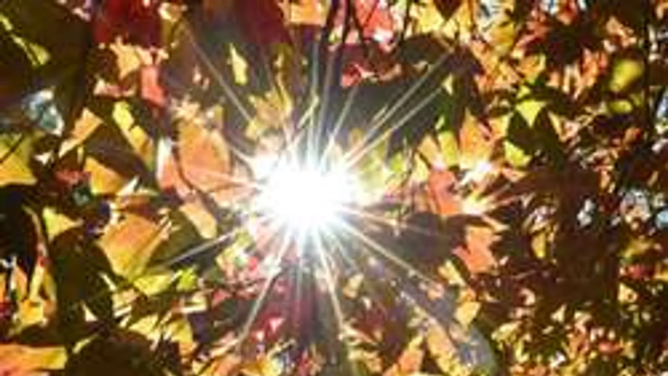 Megbolondult az időjárás! Így búcsúzik a szeptember