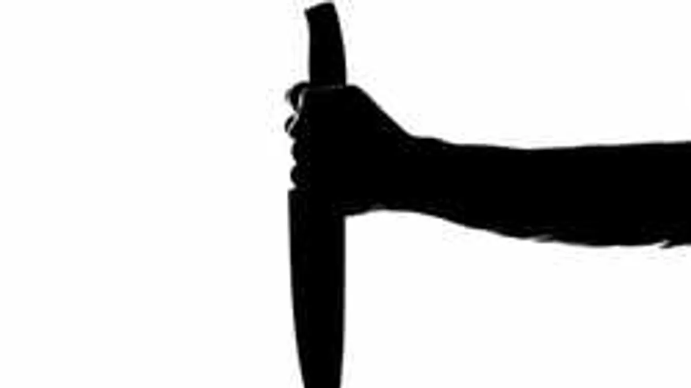 Megrázó részletek, ezért ontott vért a 17 éves ámokfutó Budapesten