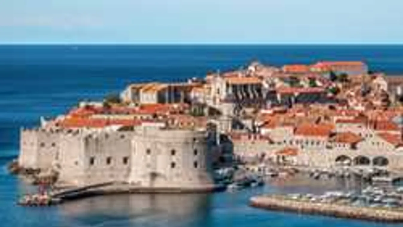 Különleges fotó Orbán Viktortól, egy cica a középpontban