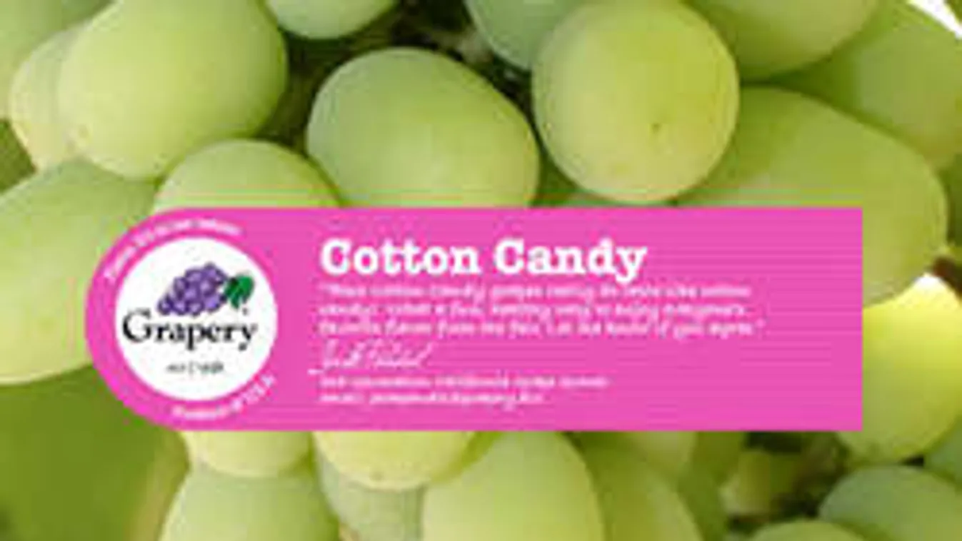 Itt a legújabb szőlőfajta, ne tudd meg, milyen az íze!