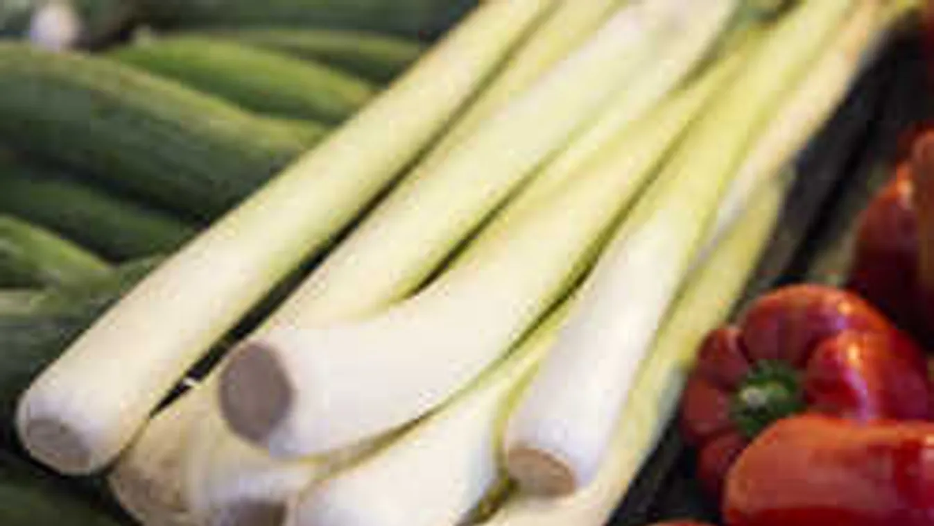 Hogyan lehet mindig újhagymánk?