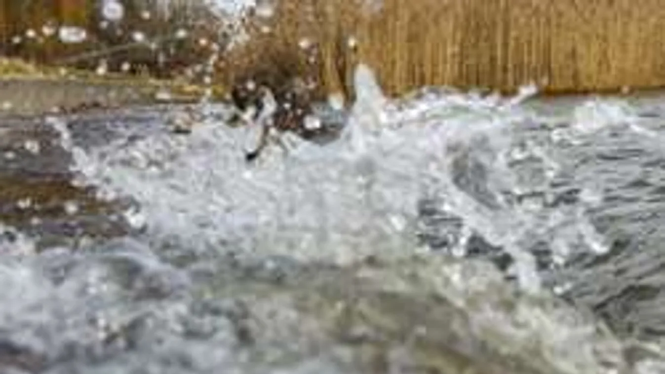 Figyelőszolgálat a Balatonnál, rengeteg csapadékot várnak!