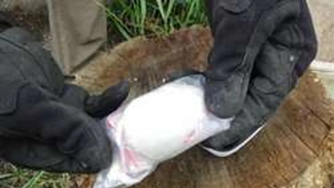 Kómába esett egy fiú a biofűtől. Szervátültetés mentheti meg az életét!