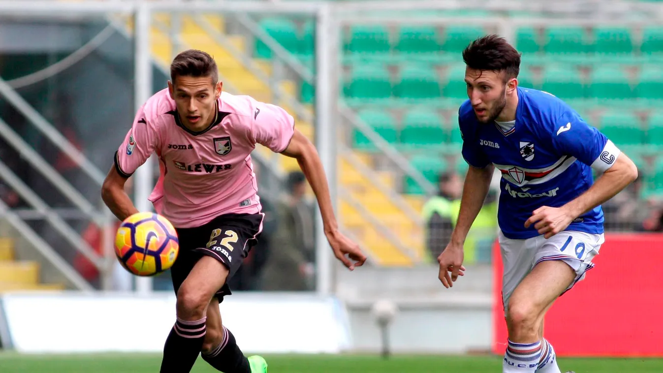 Balogh Norbert; Regini, Vasco 