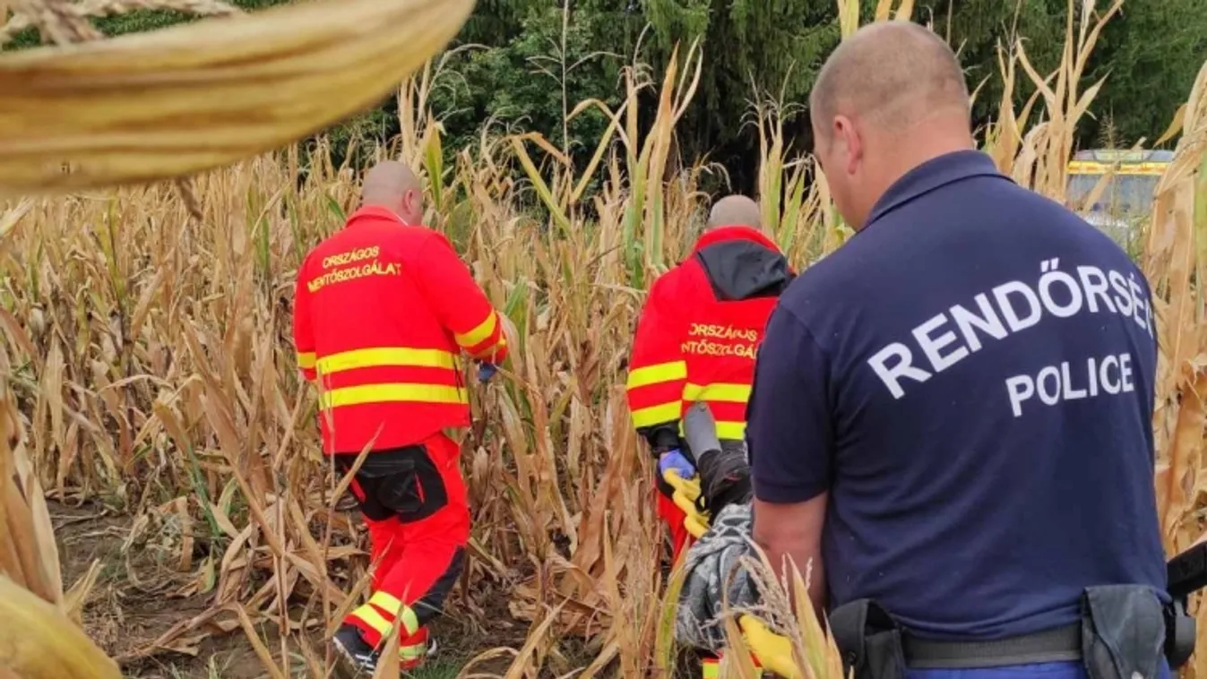 Helikopterrel keresték: a kukoricásban fekve találták meg a rendőrök az idős bácsit