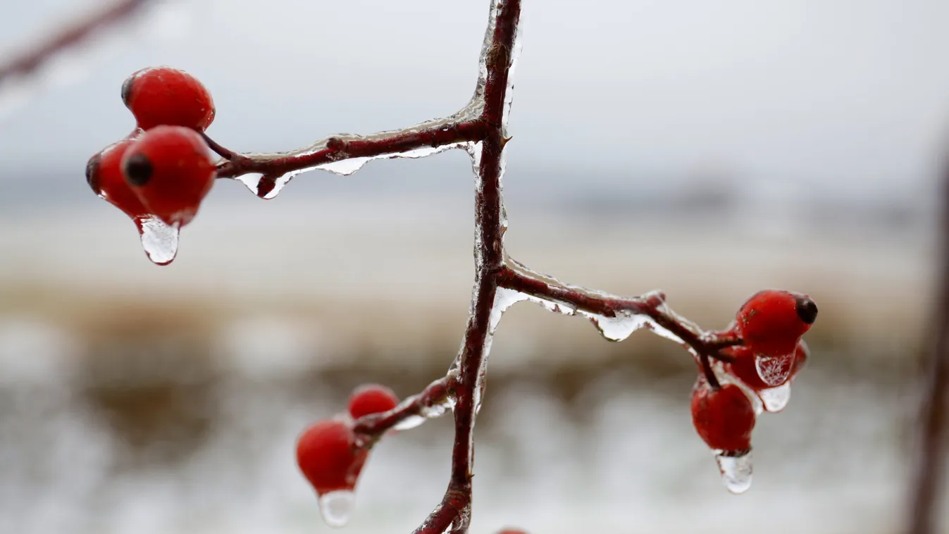 Tavaszból a durva télbe: kegyetlen, mi közelít az ország felé