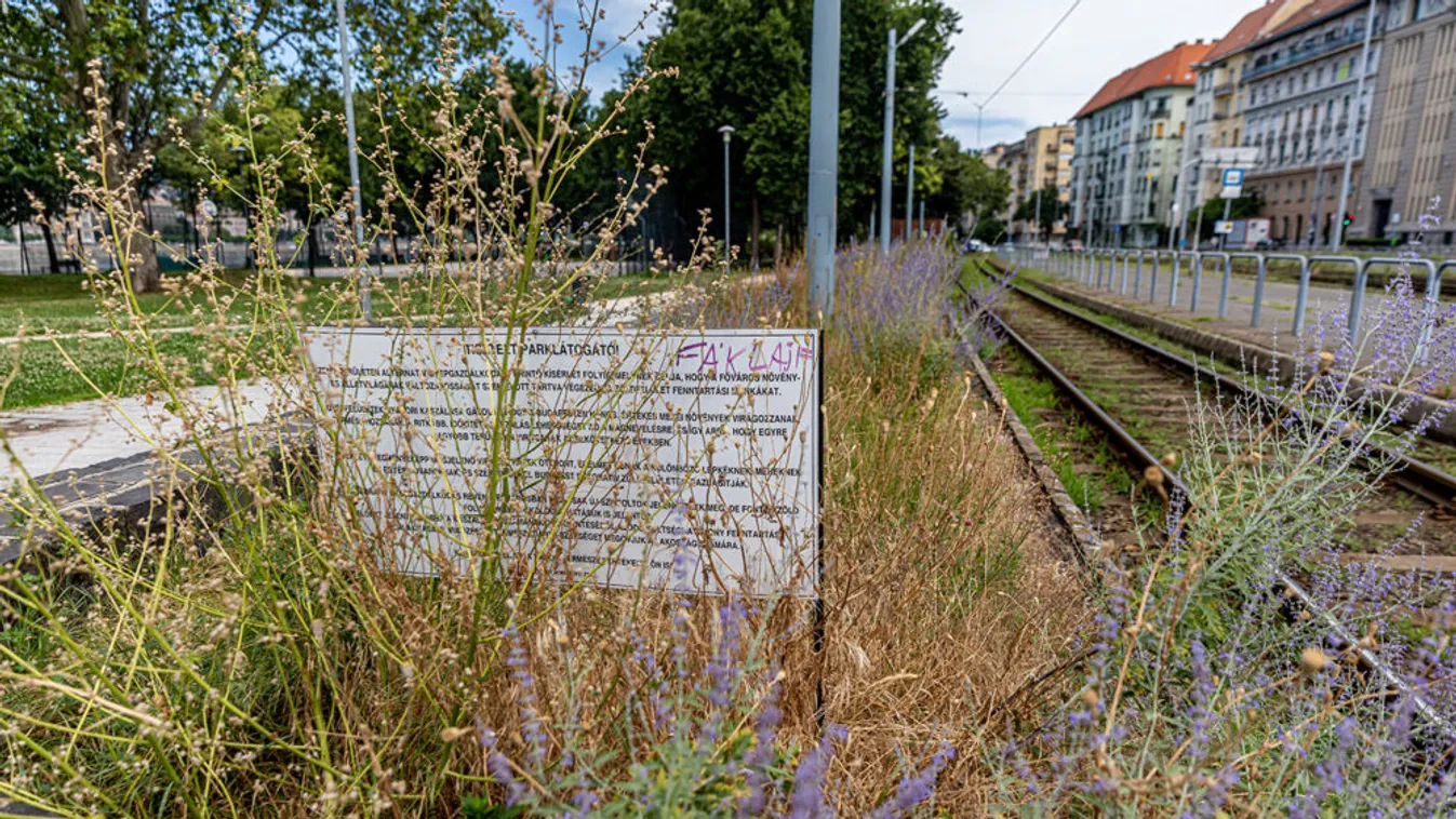 Döbbenetes fotók: Ellepte a gaz a Boráros teret