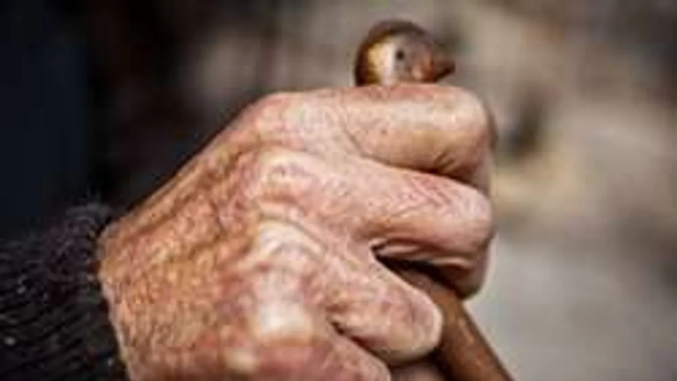 Vigyázat! Újabb módszerrel támadnak idősekre a csalók!