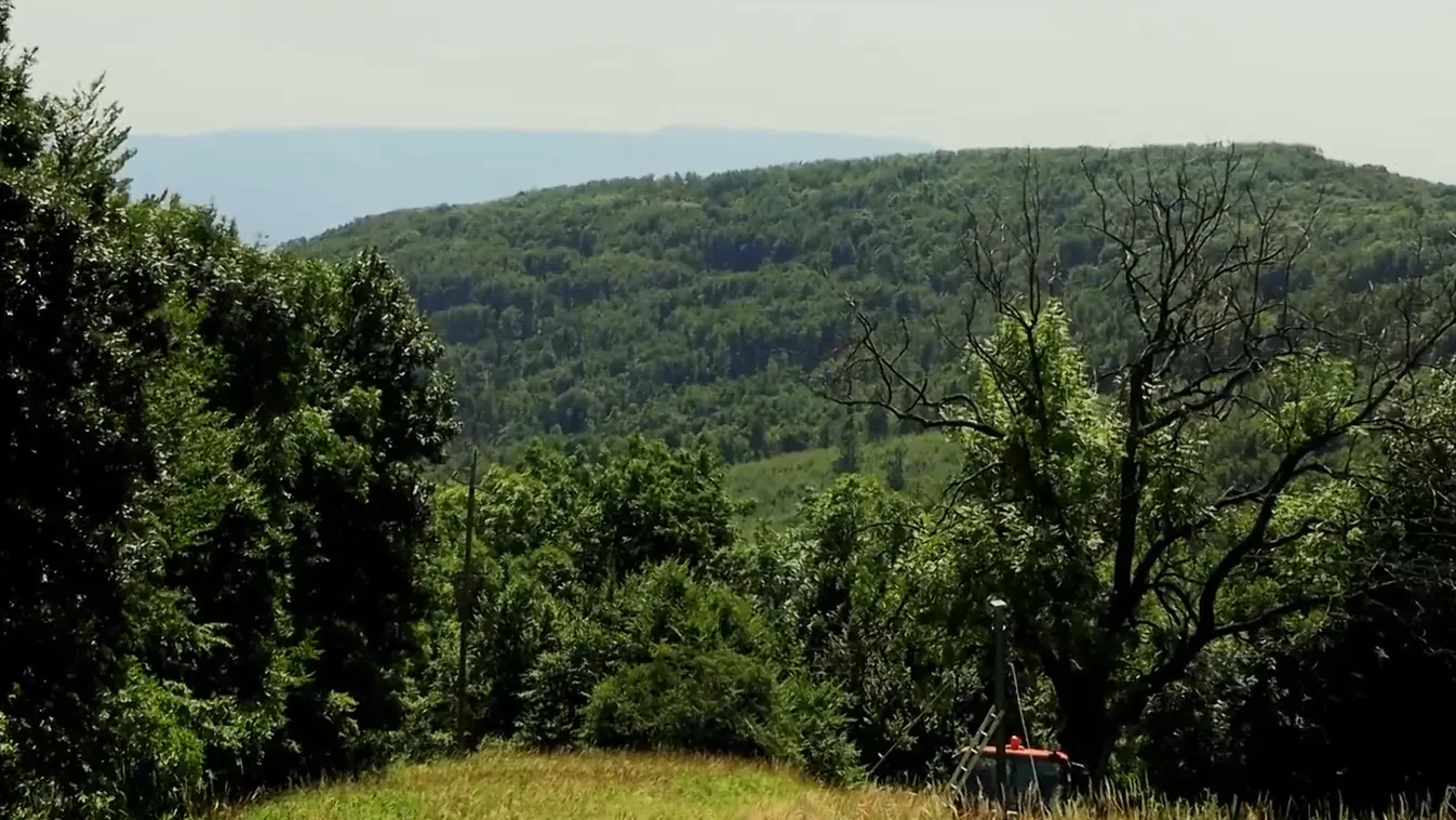 Kannibalizmus és kegyetlen kivégzés a Börzsönyben
