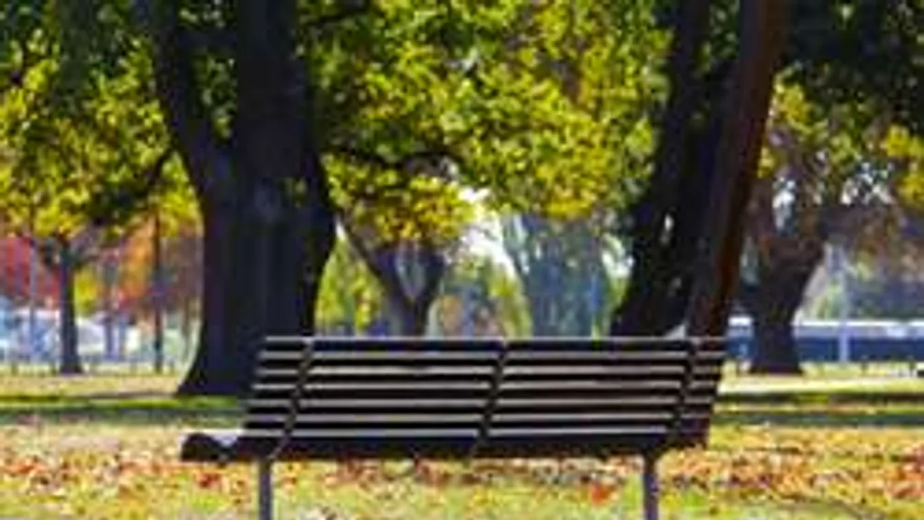 A közparkban csapott le áldozataira a perverz debreceni rém