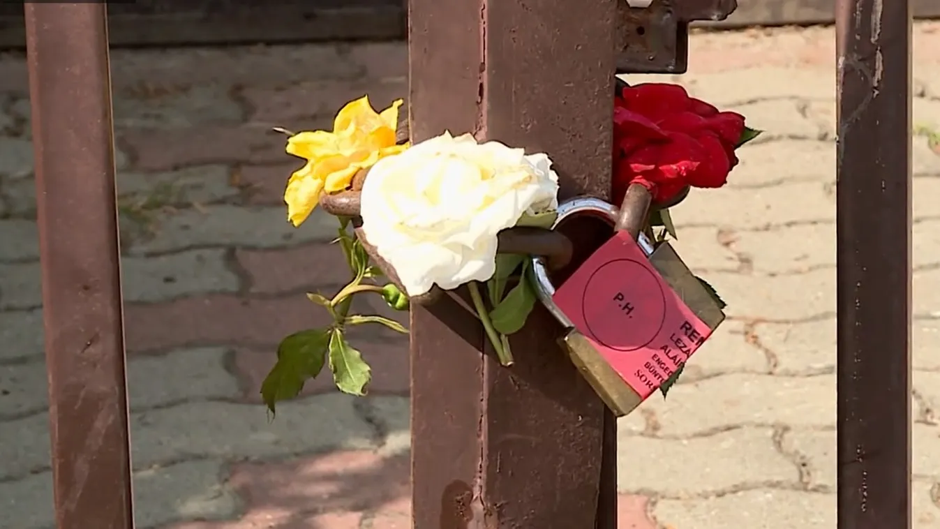 Családi tragédia Dunakeszin: Összeomlott a dédnagymama, pszichiátrián kezelik