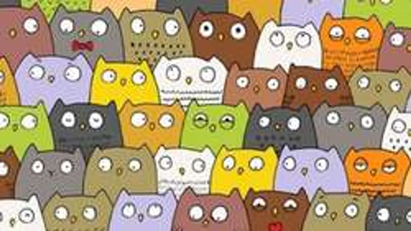 Ennél jobb fejtörő ma nem lesz! Hol van a macska a képen?