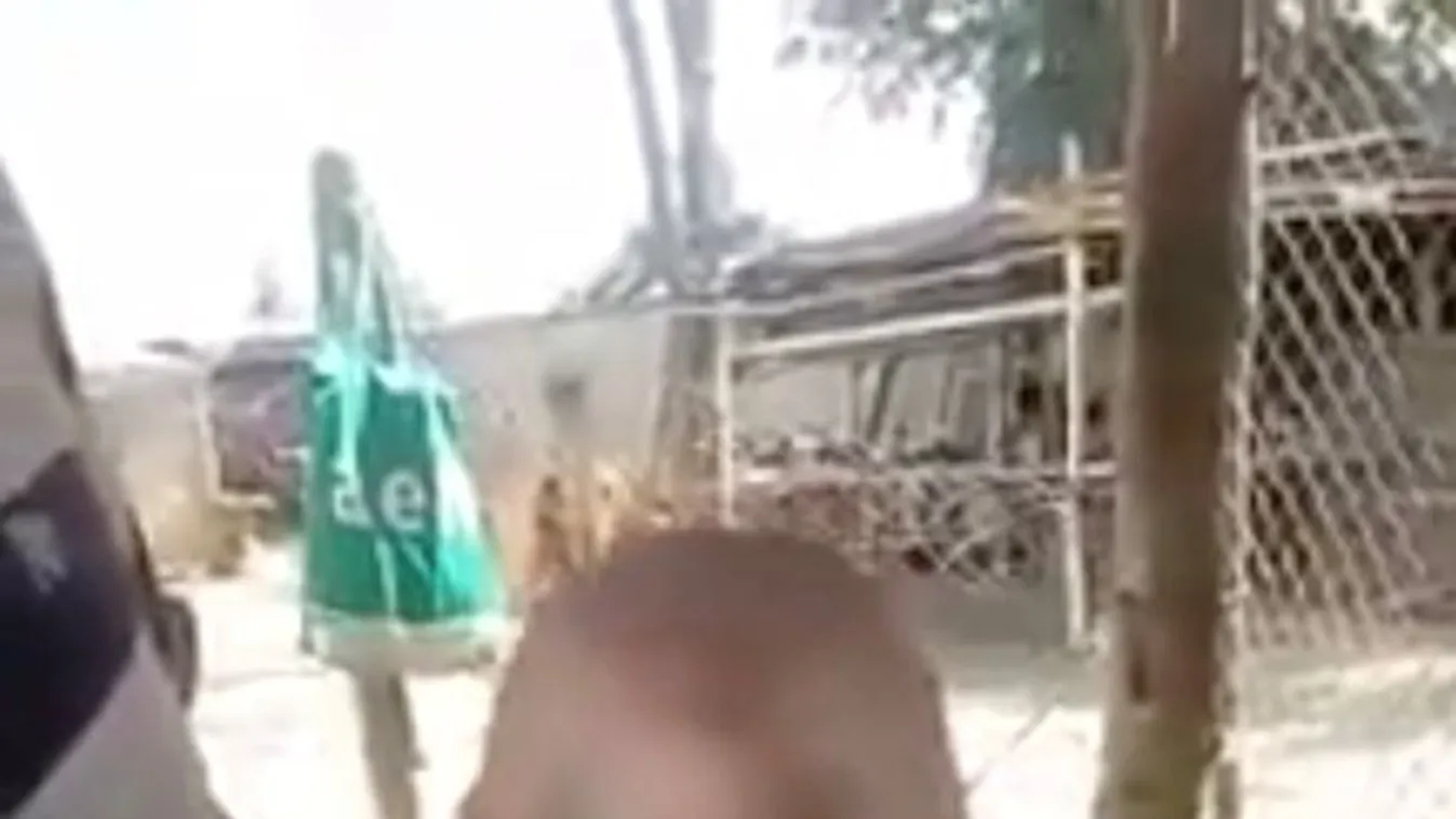 Sokkot kapott a farmer a mutáns, emberarcú malacka láttán – Fotóval