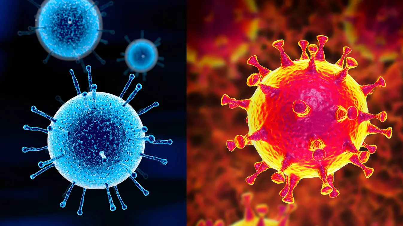 Túlzott a hisztéria a koronavírusnál?