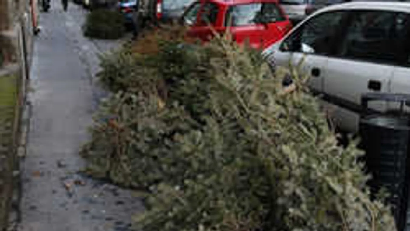 Karácsonyfákkal vannak tele Budapest utcái