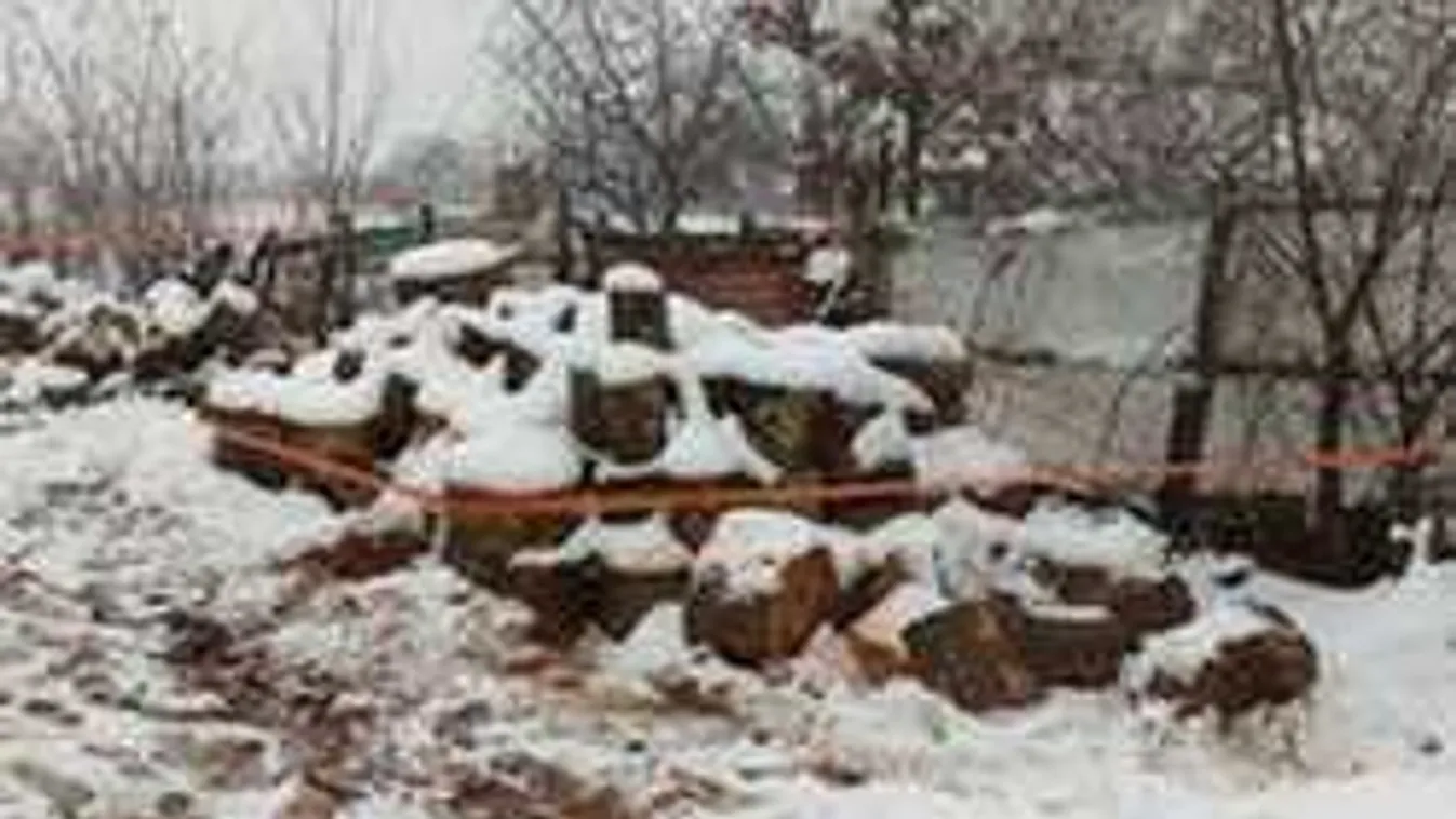 Hatalmas fogás Békés megyében: erre bukkant a hatóság a tűzifa telepen