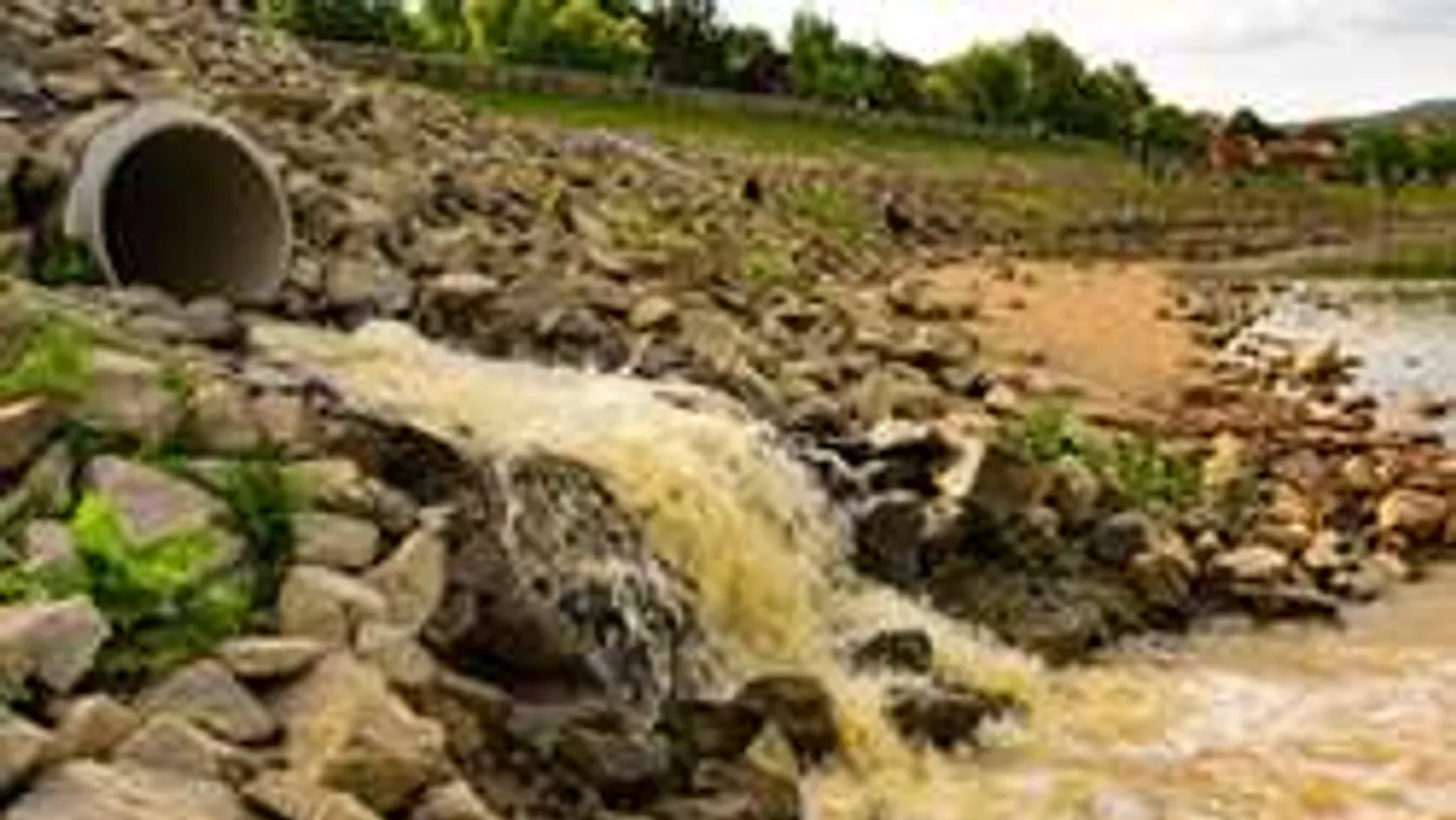 A szennyezett Duna vizétől kapott hüvelygyulladást az 5 éves kislány!