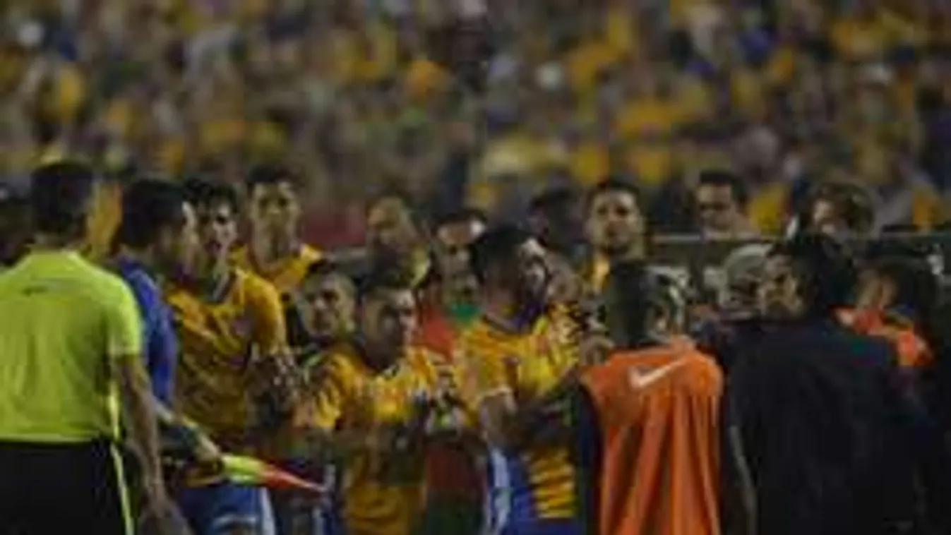 Tömegverekedés a bajnoki döntőn